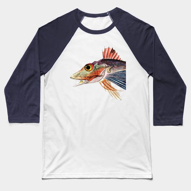 Musical Fish in C Minor Baseball T-Shirt by The Blue Box